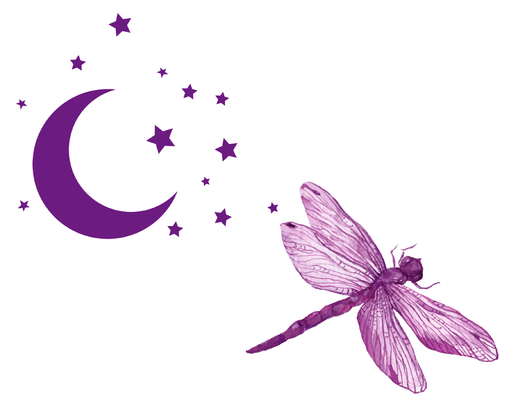 dragonflycounselingnm.com
